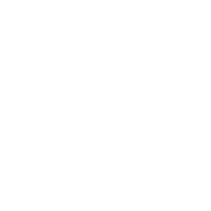 logo_decathlon